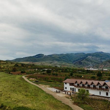 Pensiunea Casa Negrea Ighiu Bagian luar foto
