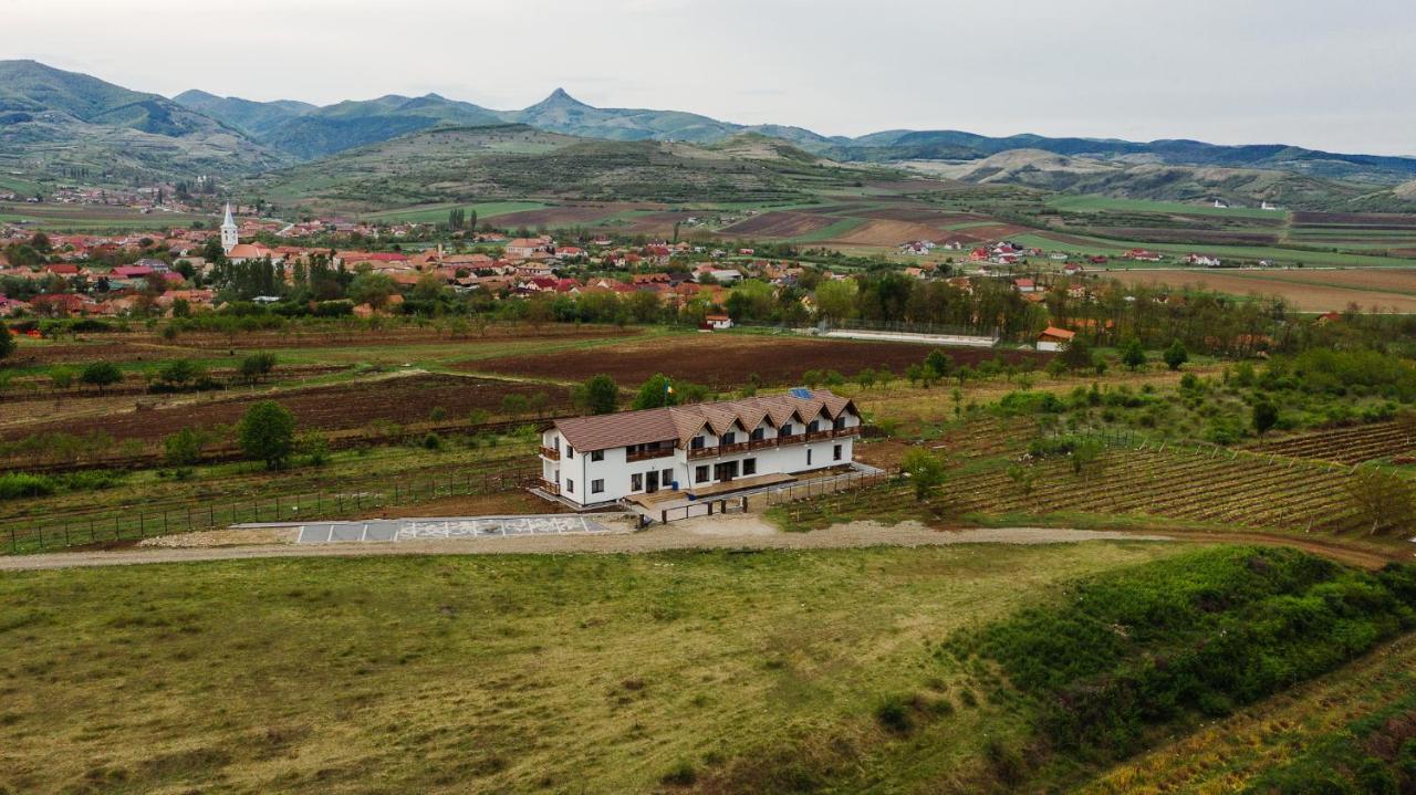 Pensiunea Casa Negrea Ighiu Bagian luar foto