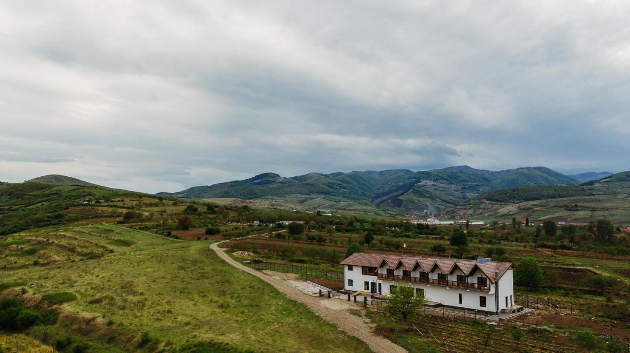 Pensiunea Casa Negrea Ighiu Bagian luar foto