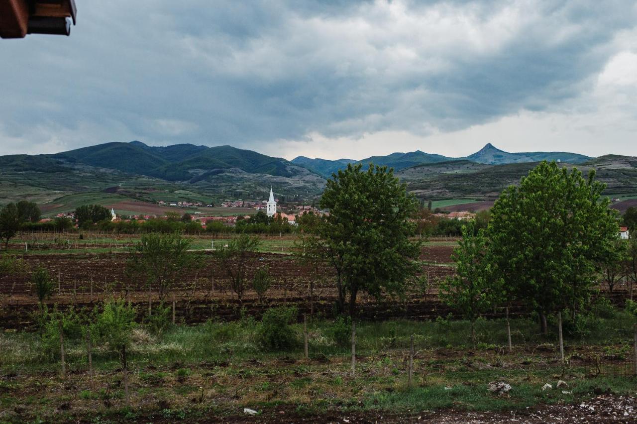 Pensiunea Casa Negrea Ighiu Bagian luar foto