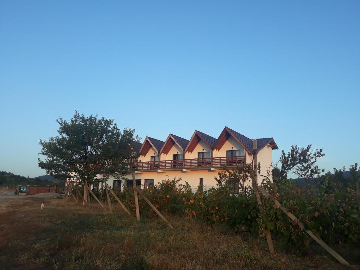 Pensiunea Casa Negrea Ighiu Bagian luar foto