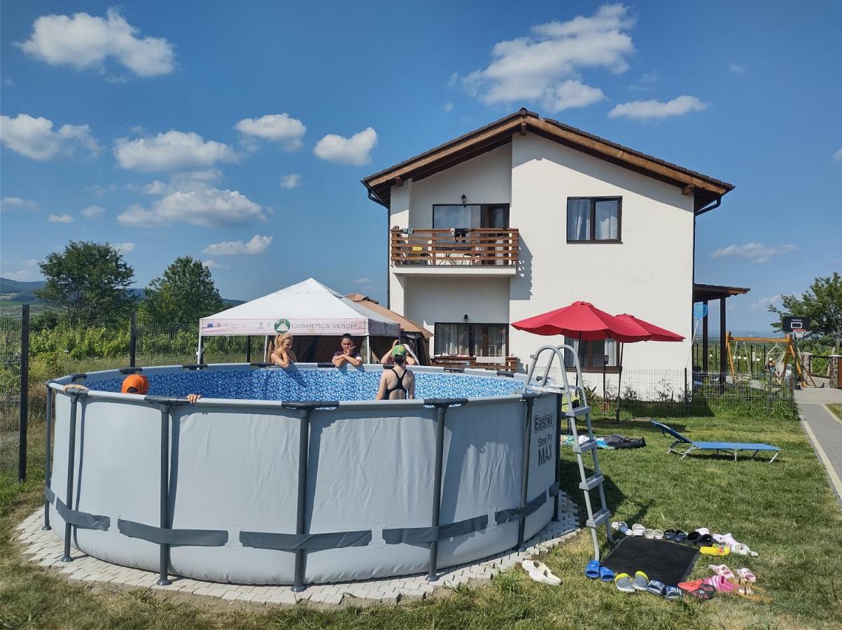 Pensiunea Casa Negrea Ighiu Bagian luar foto